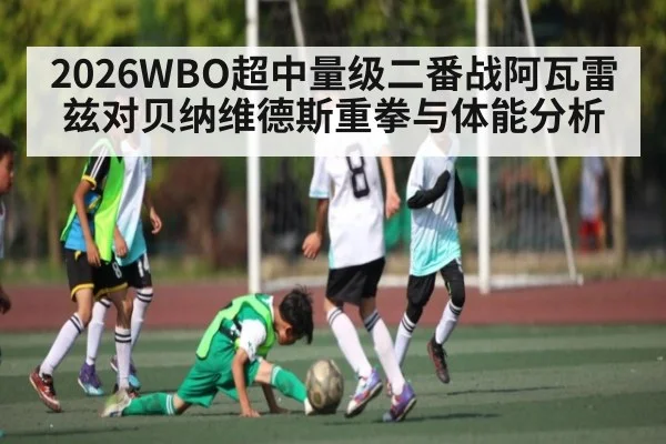 2026WBO超中量级二番战阿瓦雷兹对贝纳维德斯重拳与体能分析 - kaiyun